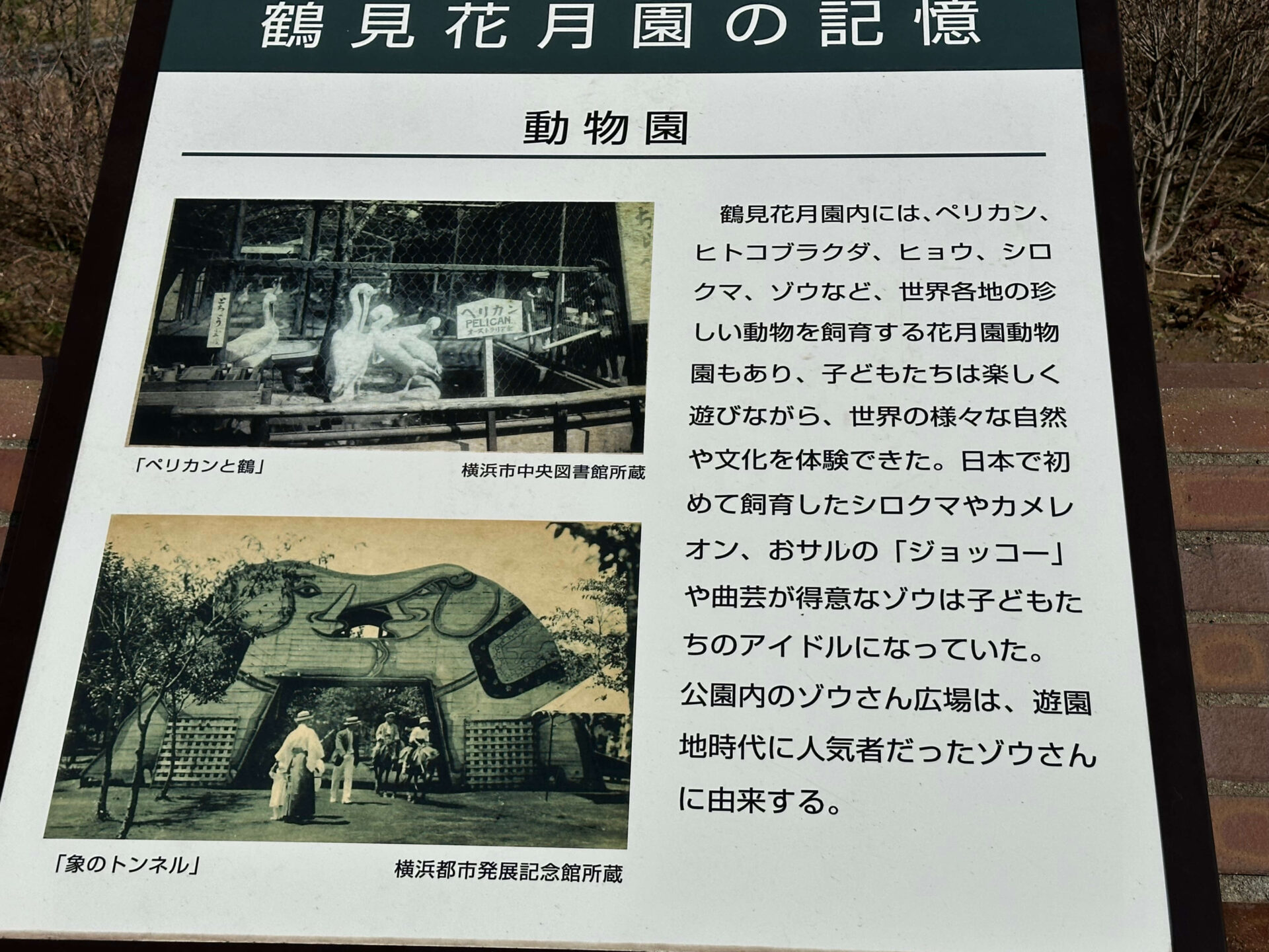 鶴見花月園の歴史