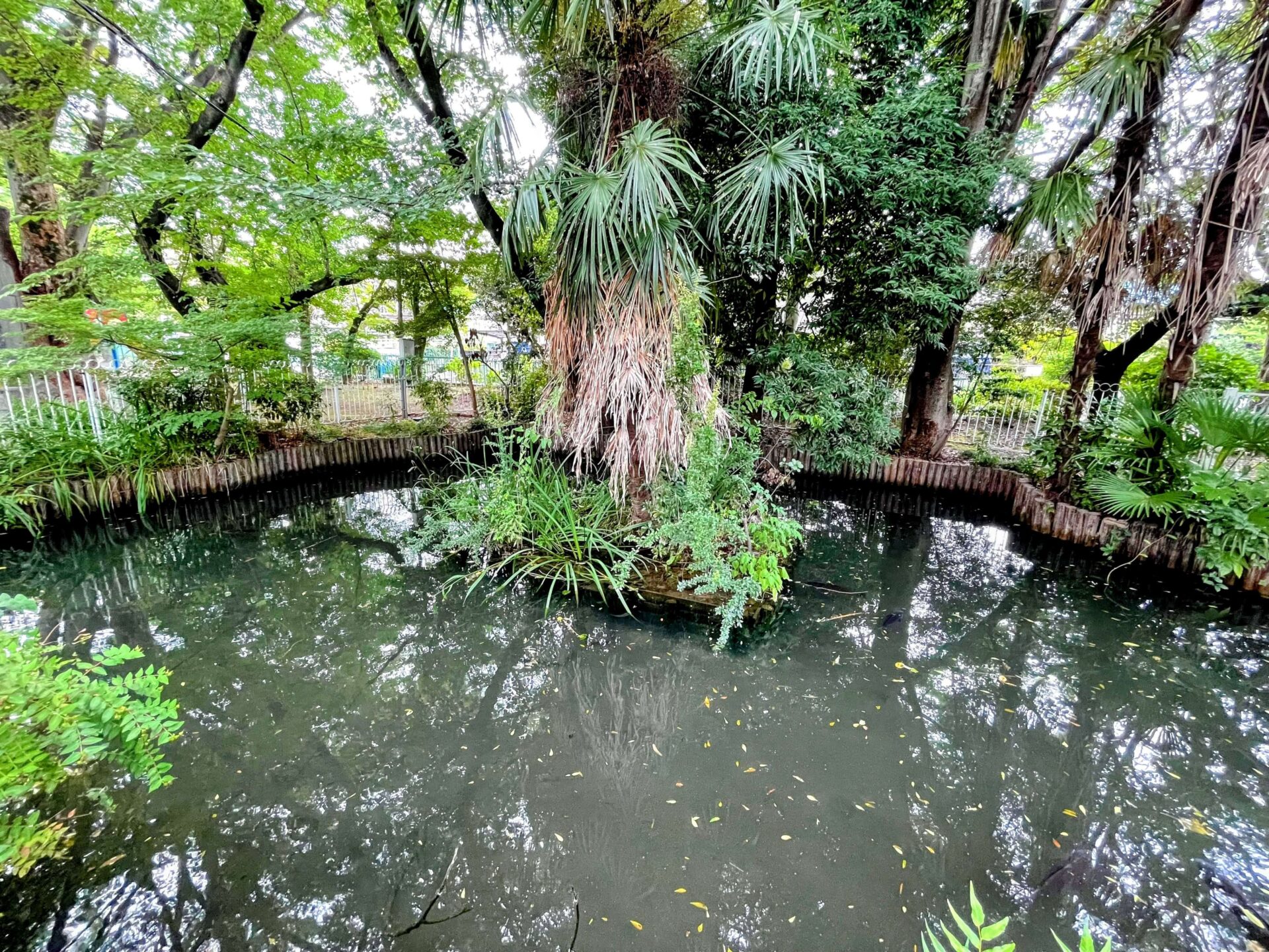 浮島稲荷神社の池